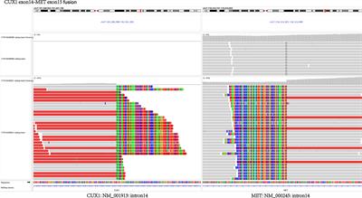 Case Report: Durable partial response to icotinib plus crizotinib in a lung adenocarcinoma patient with double uncommon EGFR G719D/L861Q mutations and an acquired novel CUX1-MET fusion